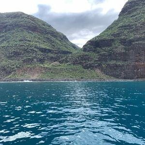 Meet your Posher, Joanna